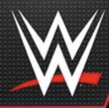 WWE logo